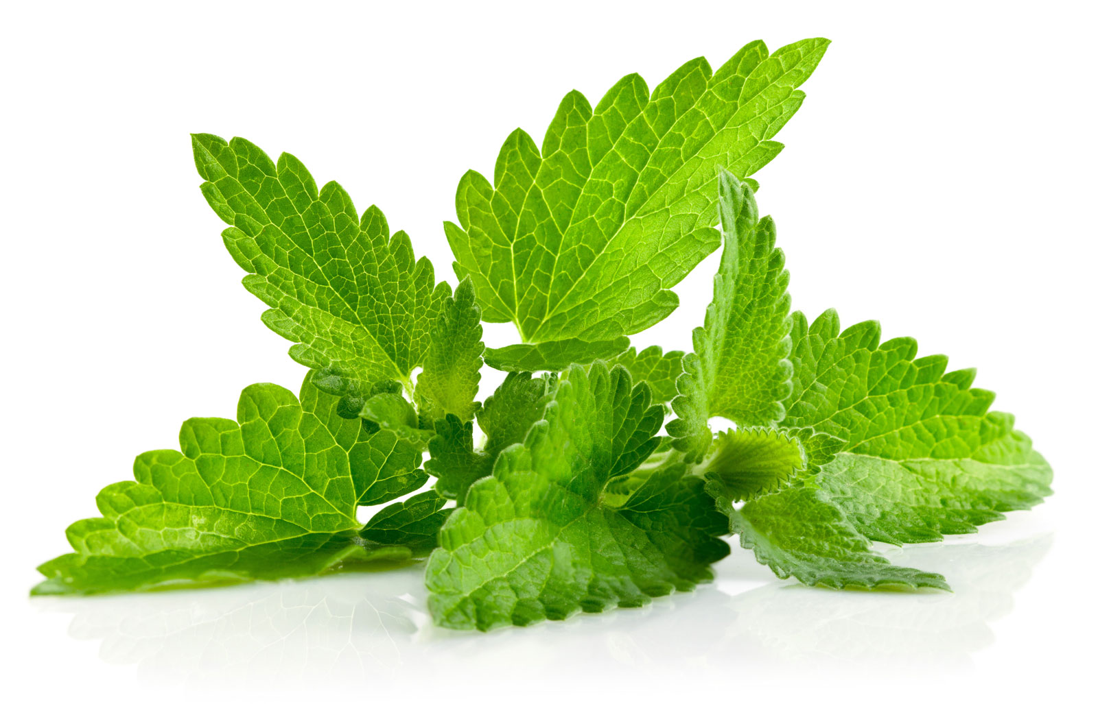 Mint Leaves - One Of The Oldest Seasoning And Flavoring Agent