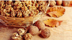 Walnuts - An essential food for health