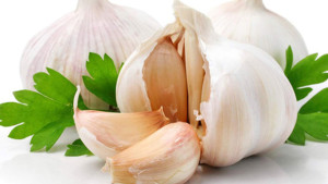 Garlic palnts-raw garlic-garlic medicinal uses