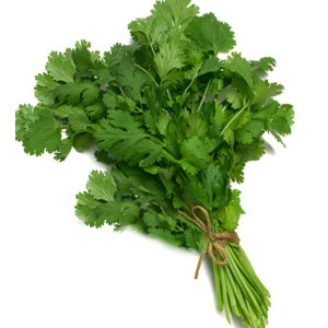 coriander-fresh-leavesnatureloc