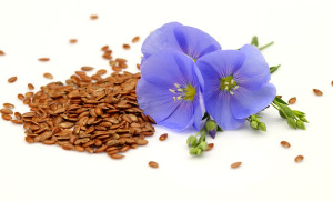 Flax seeds flower uses medicinal values