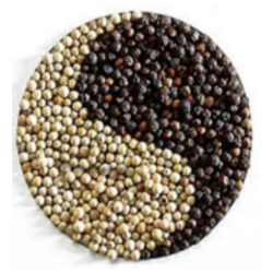 white-pepper-and-black-pepper-buy online