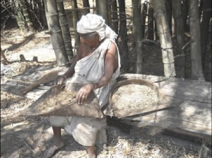 Bamboo rice mulayari