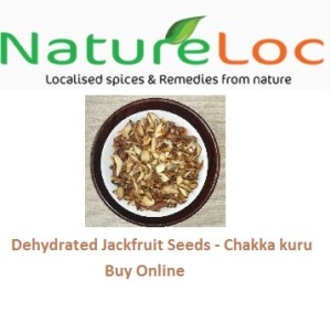 Jakcfruit seeds buy online