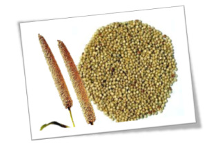 Pearl millets buy online natureloc