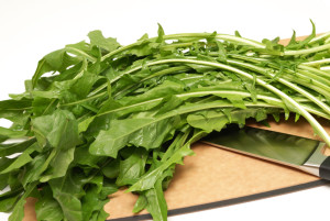 dandelion-greens leaf health beneifits