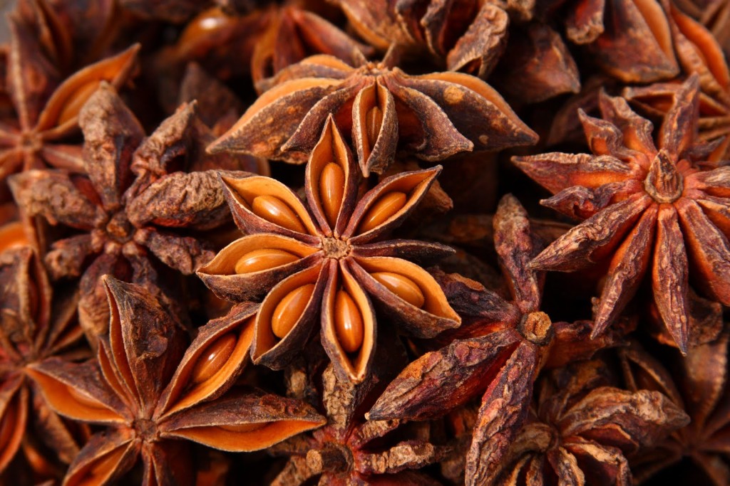 star-anise health beneifts natureloc