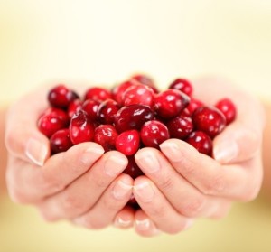 Cranberries-handful make a different natureloc