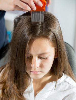 use oil for headlice in chidlren