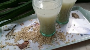 barley-water for pregnant women