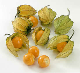 cape_gooseberry golden berry natureloc