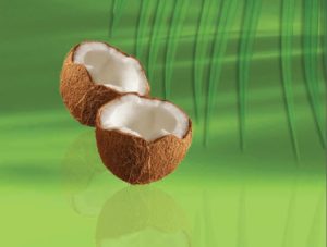 coconut oil buy online from natureloc