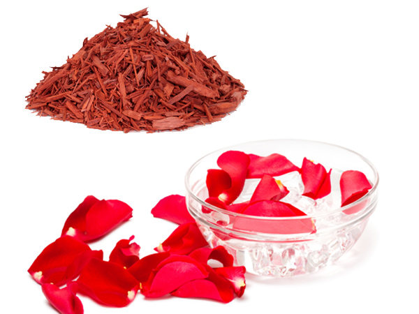 Red Sandalwood8