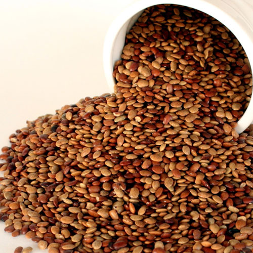 Horse gram(Muthira)-Aid to Resist Diabetes and for Weight Loss