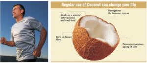 coconut-products-buy-online-from-natureloc