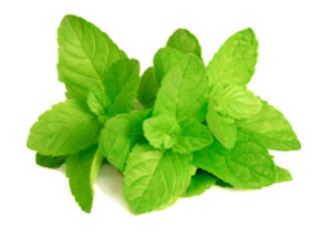 peppermint-leaves-products-buy-online