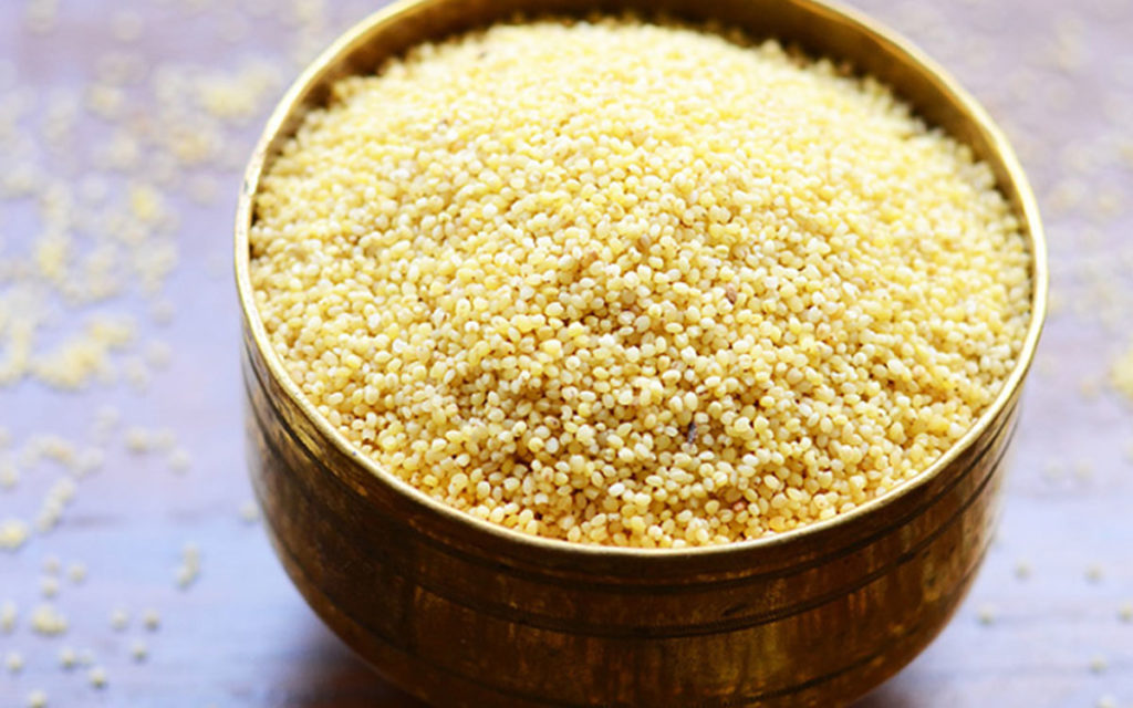 foxtail-millet-in-telugu-benefits