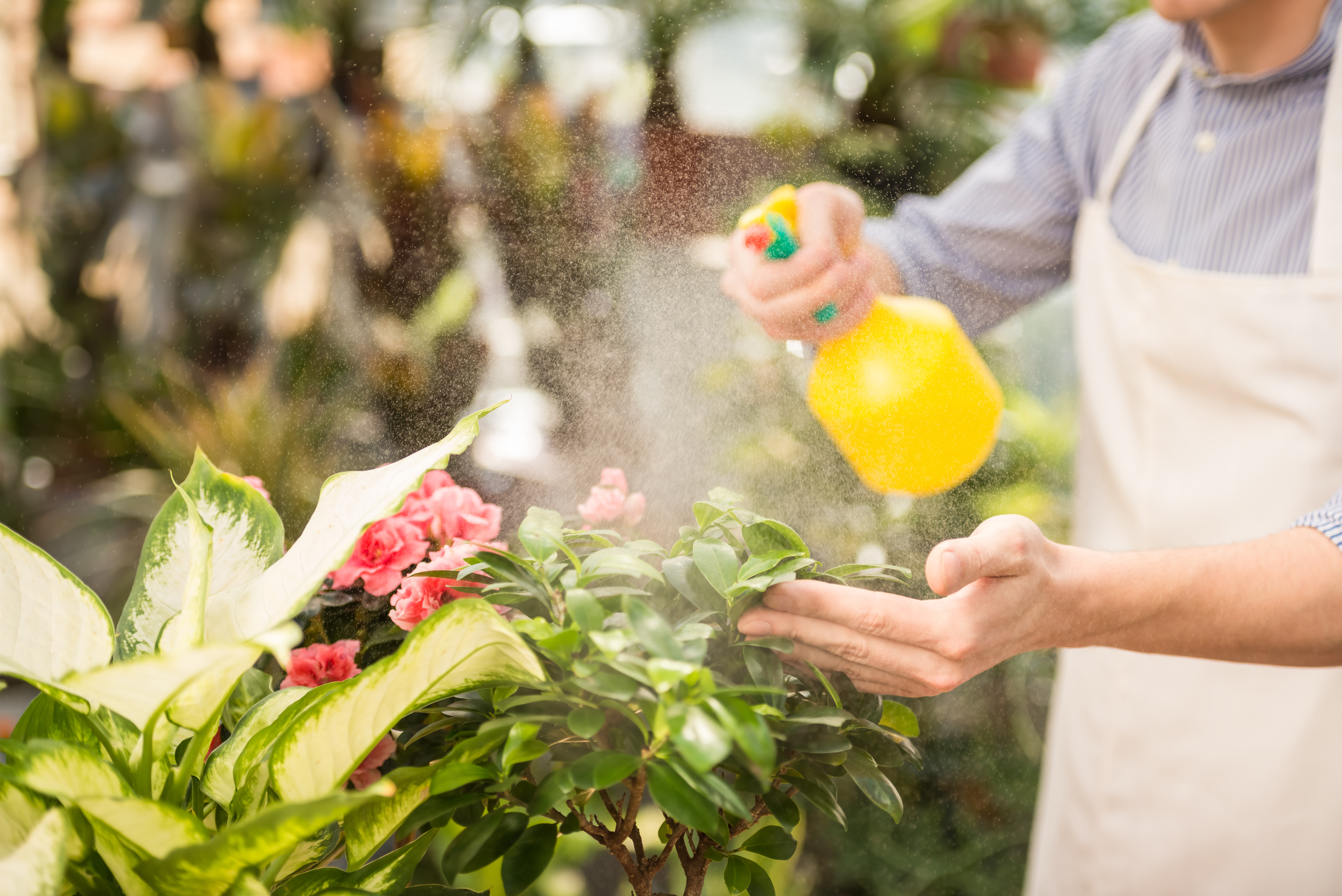 Remove Pesticides From Fruits & Vegetables