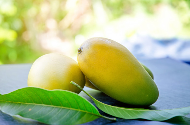 Mango Leaves Benefits