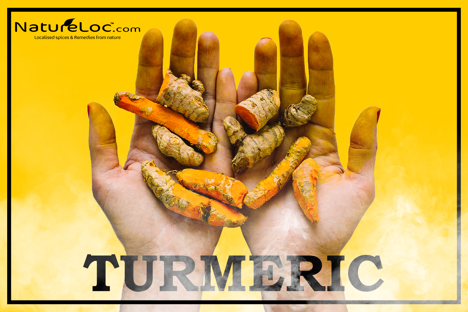 Turmeric (Haldi)