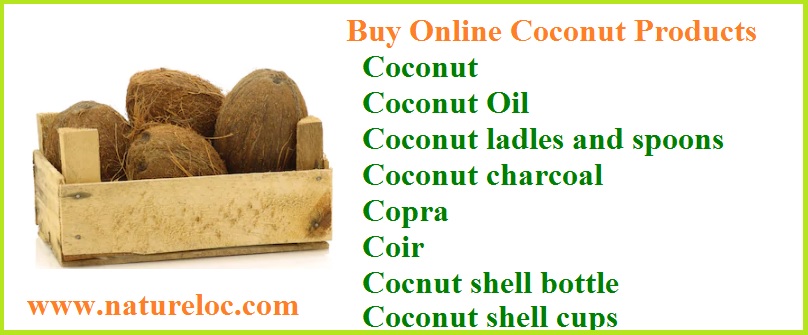 Is coconut a fruit or seed?top 10 uses of coconut