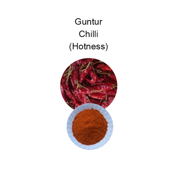 guntur red chilli powder