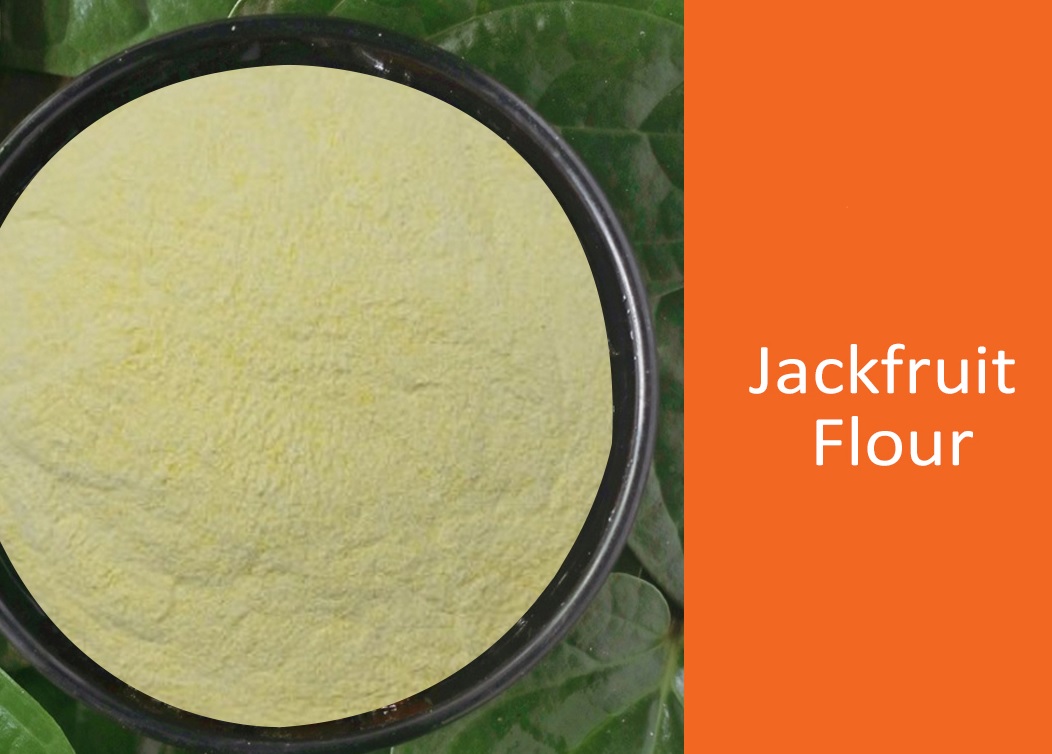 jackfruit flour natureloc