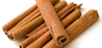 The spice from South India – Cinnamon (Dalchini / Karuvapatta) for aroma & healthy living.