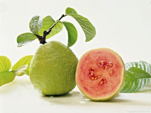 Guava fruit with leaves