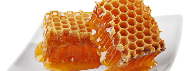 Stingless bee honey – Natural medicine with a sweet taste