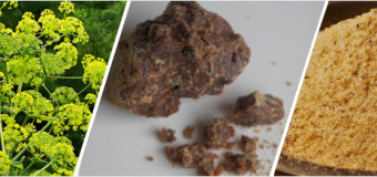 Asafoetida-Kayam Spice for Indian Cusine