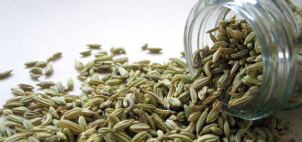 Fennel seed – The Spice With Oblong Shape And Sweet Taste