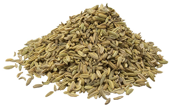 Fennel-seed-2