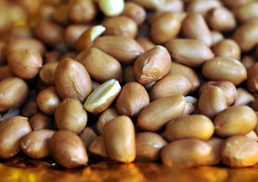 Groundnuts – One of the healthiest foods around - Healthyliving from ...