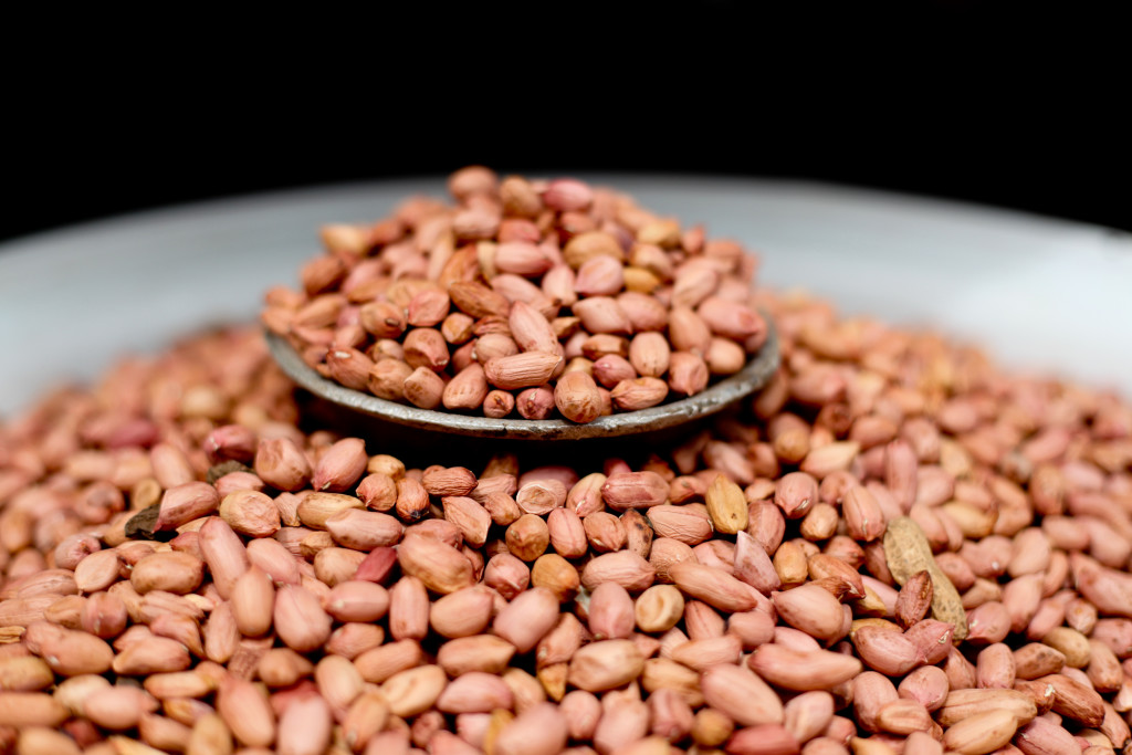 groundnuts-one-of-the-healthiest-foods-around-healthyliving-from