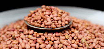 Groundnuts – One of the healthiest foods around