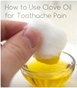 Clove Oil used for tooth pain