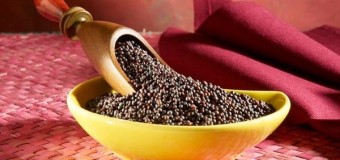 Mustard Seeds – Small Seed with High Nutrition Value