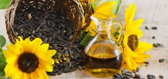 Sunflower Oil – A Natural oil with multiple health benefits