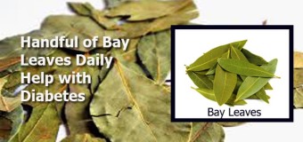 Bay leaf- a sacred leaf used in cooking