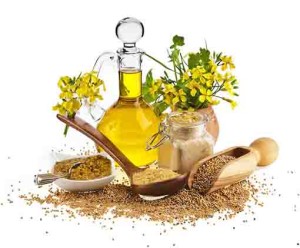 mustard oil with mustard plants and flowers