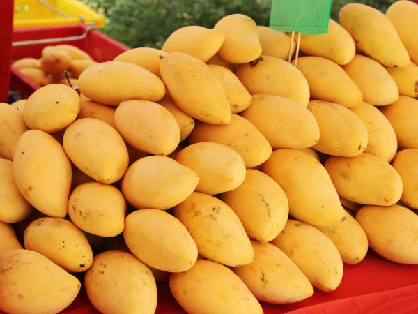 Stay away! Artificially ripened mangoes - How to spot harmful artificially ripened mangoes 