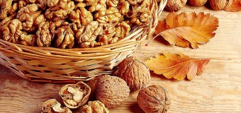 Walnuts Akhrot – Unique Nut with whole body benefit