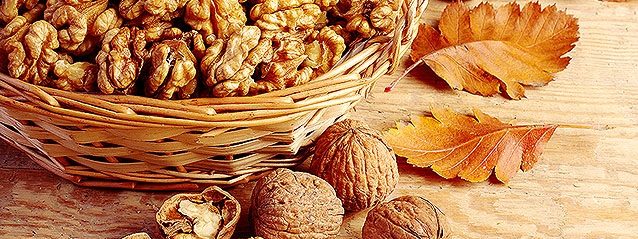 Walnuts - An essential food for health