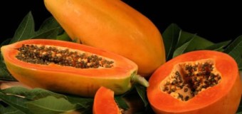 Have you heard of the medicinal benefits of Papaya in treating Dengue Fever?