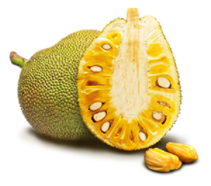 Jackfruit seeds and fruits