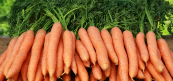 What’s the benefit of having crunchy and nutritious roots called carrots?