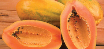 Papaya | 5 Interesting Health Benefits | Side Effects | NatureLoC