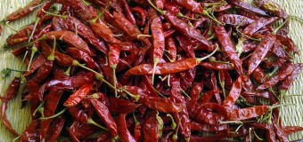 Chillies as food,spice and medicine – whole lot of fragrance and flavour to Indian cuisine