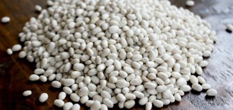 White Bean – Common Bean with extraordinary qualities